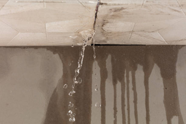 Professional Water Damage Repair technician working in Aurora, OR